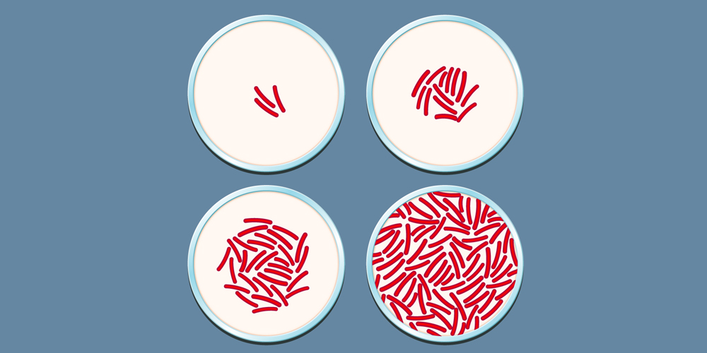 What Is Antibiotic Resistance? A Look at This International Health Problem