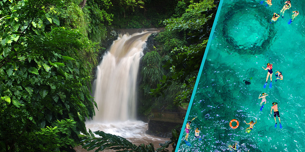 Image of waterfall and snorkelers in Grenada