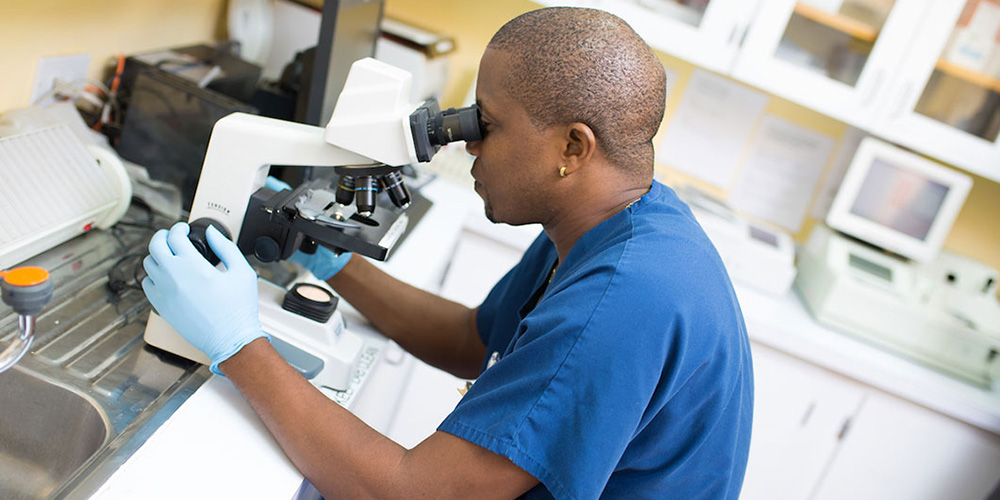 Student using microscope
