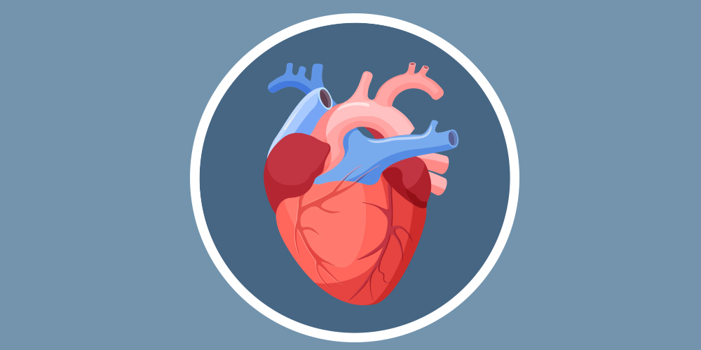 What Is Heart Disease? Cardiovascular Health Problems Explained