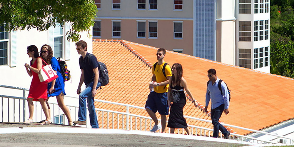 The Medical School Application Process