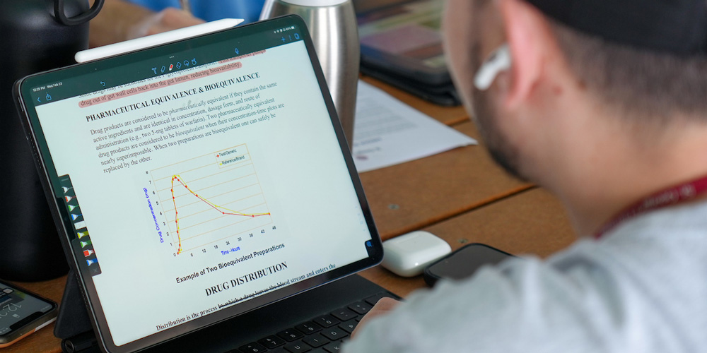 SGU student studying on laptop