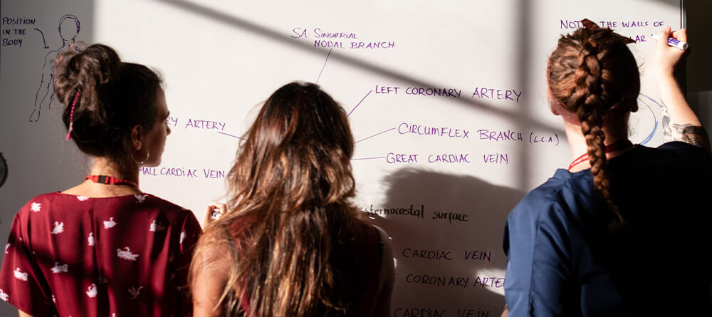 Women collaborating and writing ideas on a whiteboard in a bright, engaging workspace.