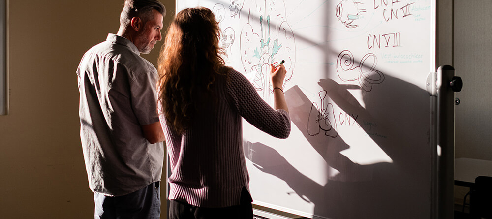 Student support services