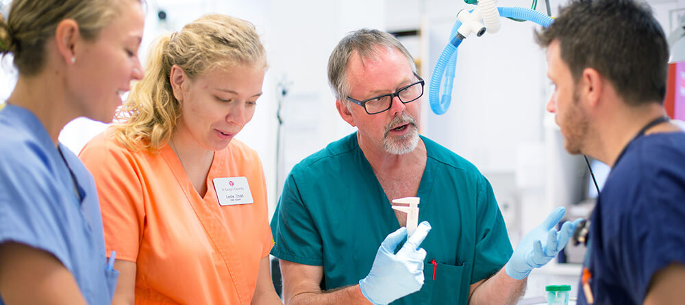An SGU instructor working with a group of veterinary students