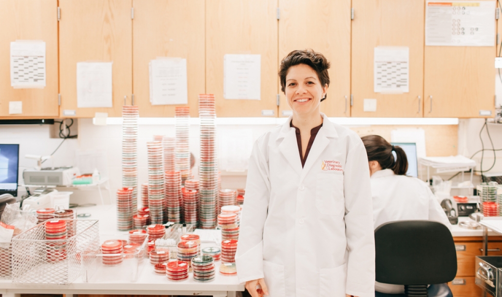 Katie Woodard, DVM ’14