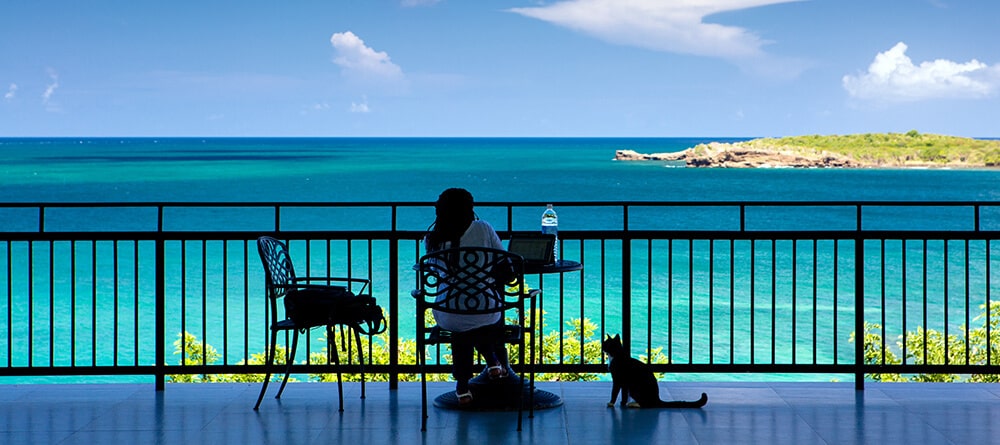 Student studying while overlooking ocean