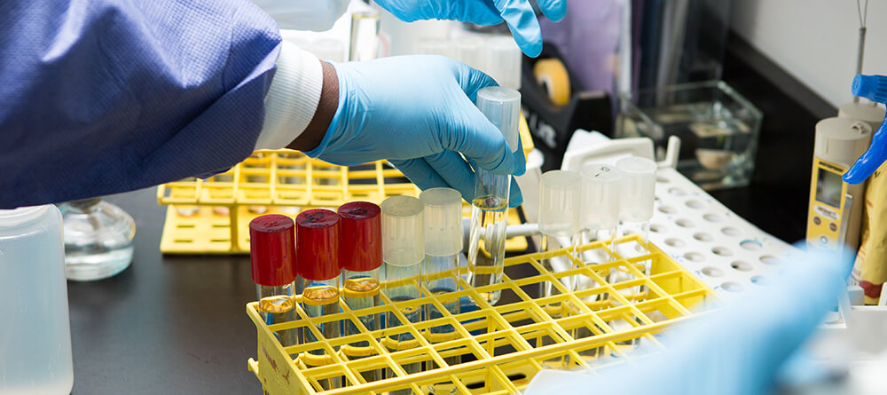 Student filing samples