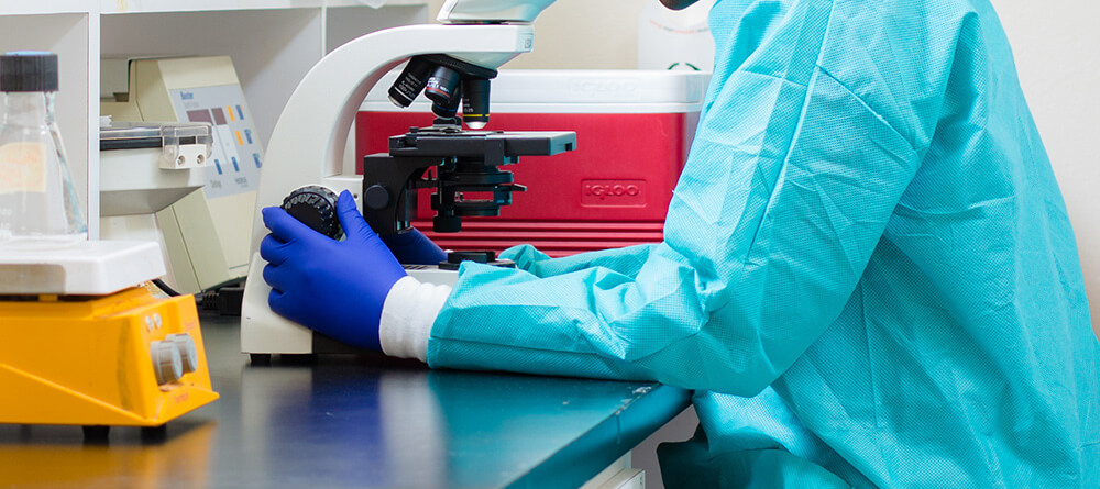 Student using microscope