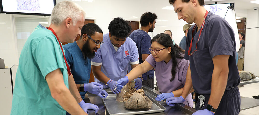 SGU Students Disecting