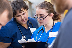 Veterinarian Consulting the Rest of the Veterinary Staff