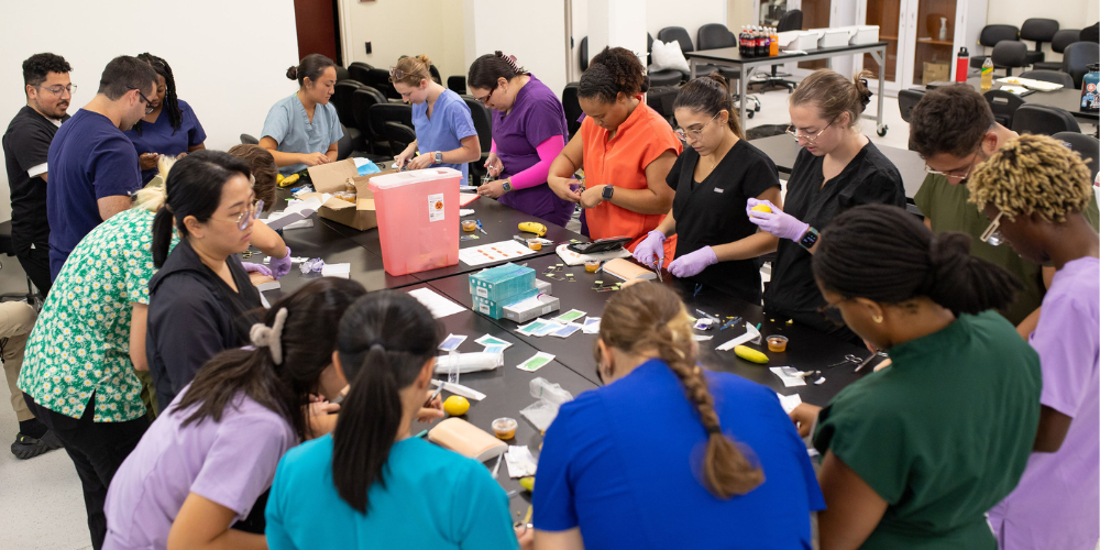 SVM students at first-ever wet lab at American College of Veterinary Dermatology (ACVD) dermatology outreach clinic