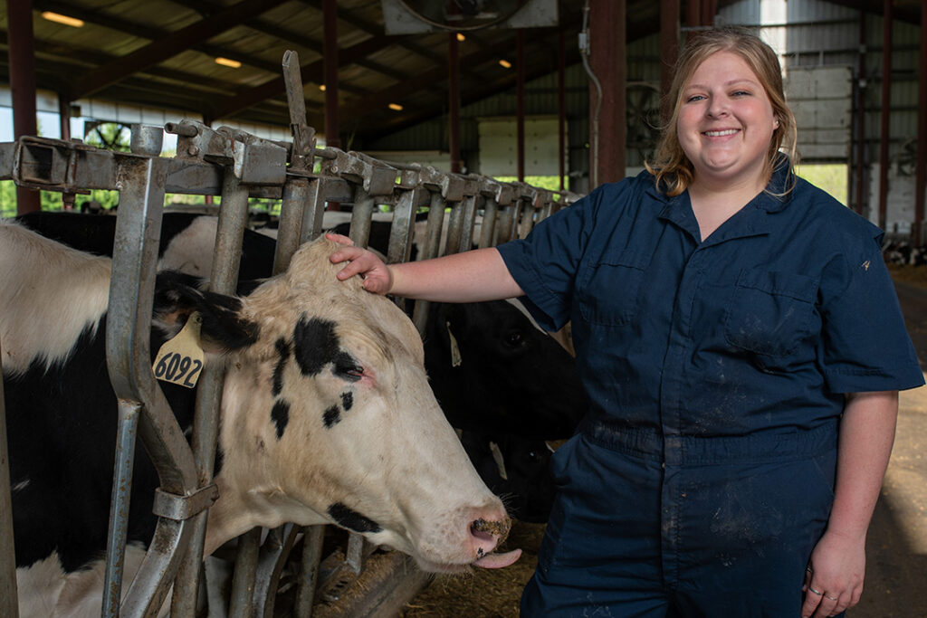 SVM Doctorate Program