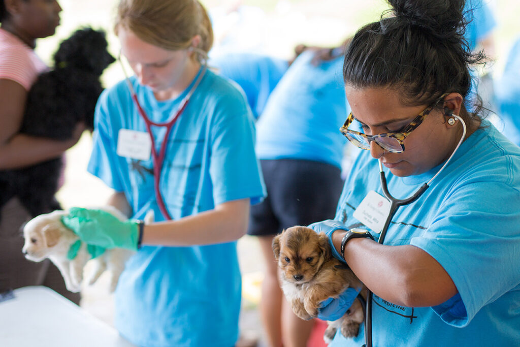 SVM students with pups