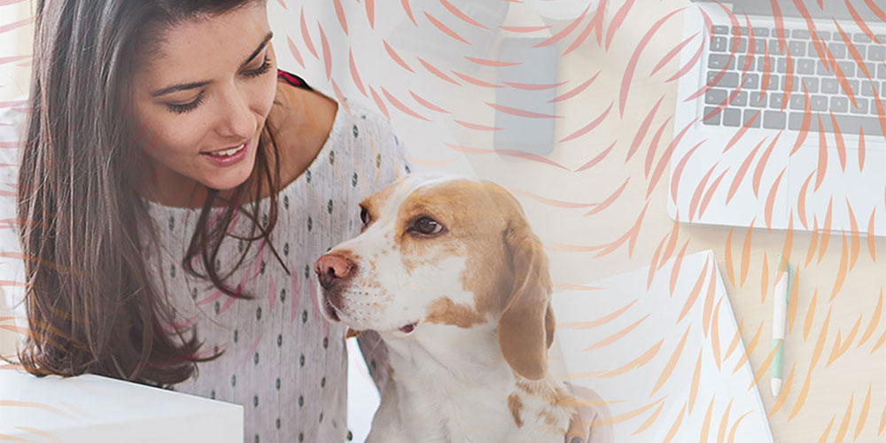 What to Know About NAVLE Results