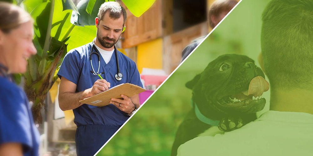 Caribbean vet school students examining dog