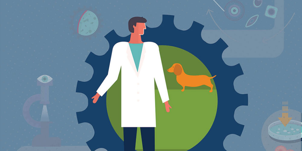 What Is One Health? Understanding This Critical Concept Square