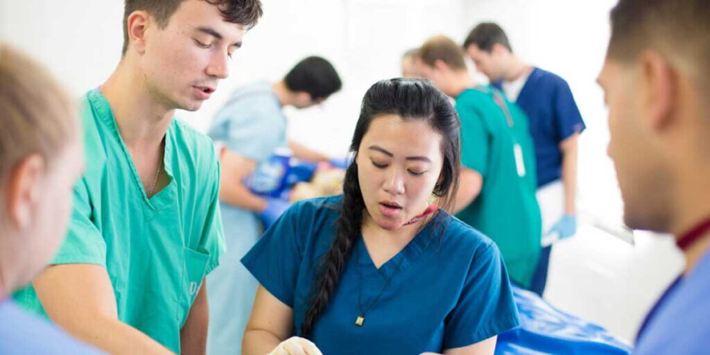 School of Medicine students participate in a gross anatomy wet lab at the Department of Anatomical Sciences.