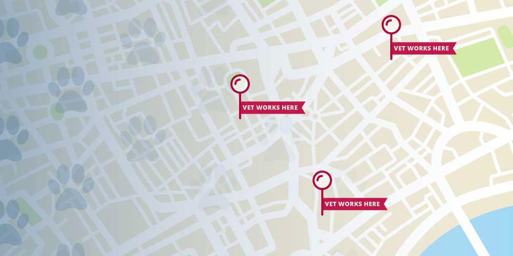 Where Do Veterinarians Work? 9 Surprising Locations Square|