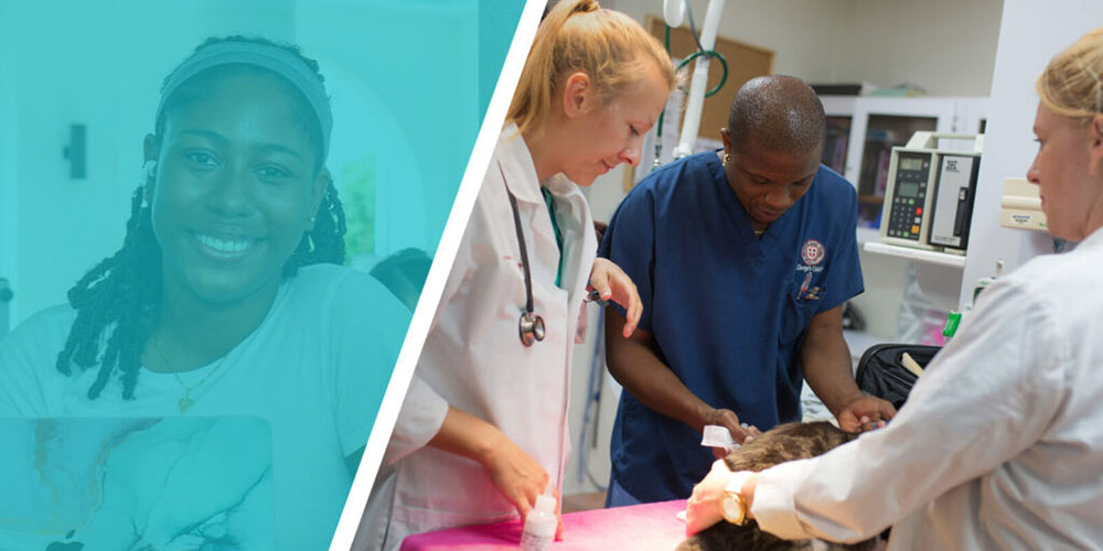 SGU students listening to professor in lab