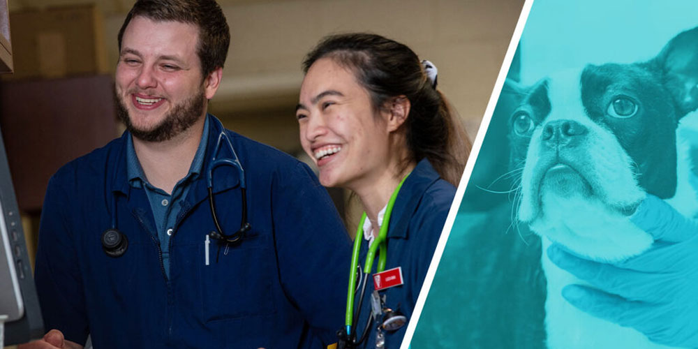Smiling vet students