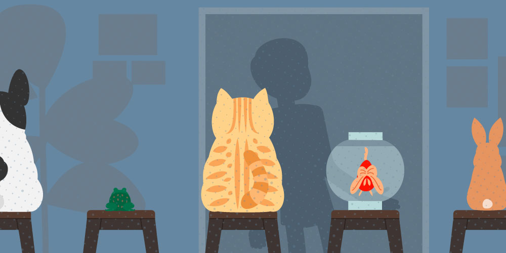 DVMs Share 8 Benefits of Being a Veterinarian