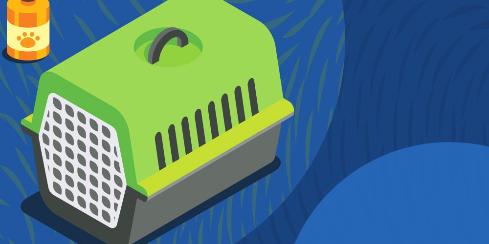 Taking Care of Animals