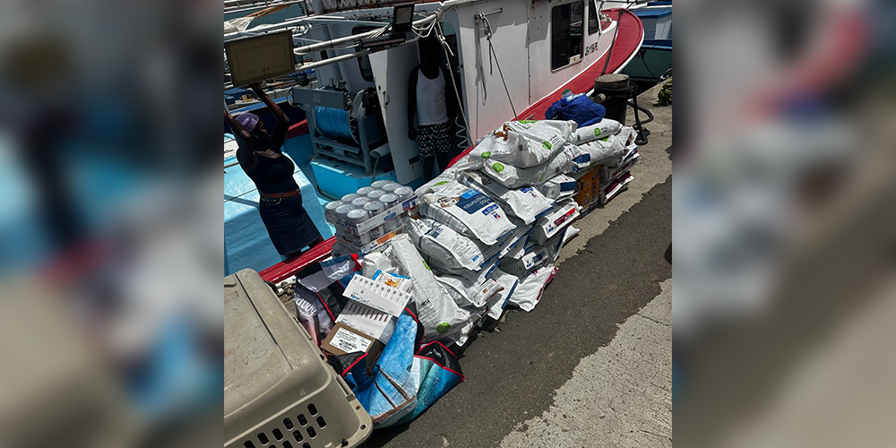 Pet food donated from the GSPCA and SGU via Hill’s Pet Nutrition