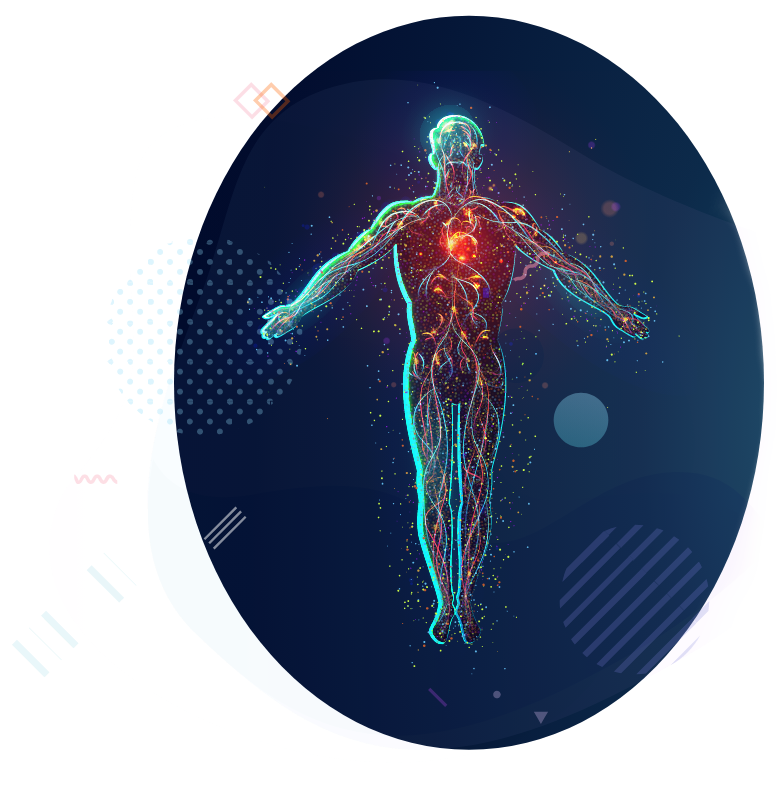 Human body illustration