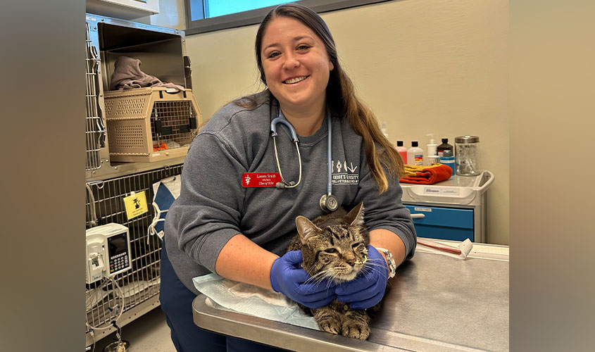 Lauren Smith, DVM '24 (expected)