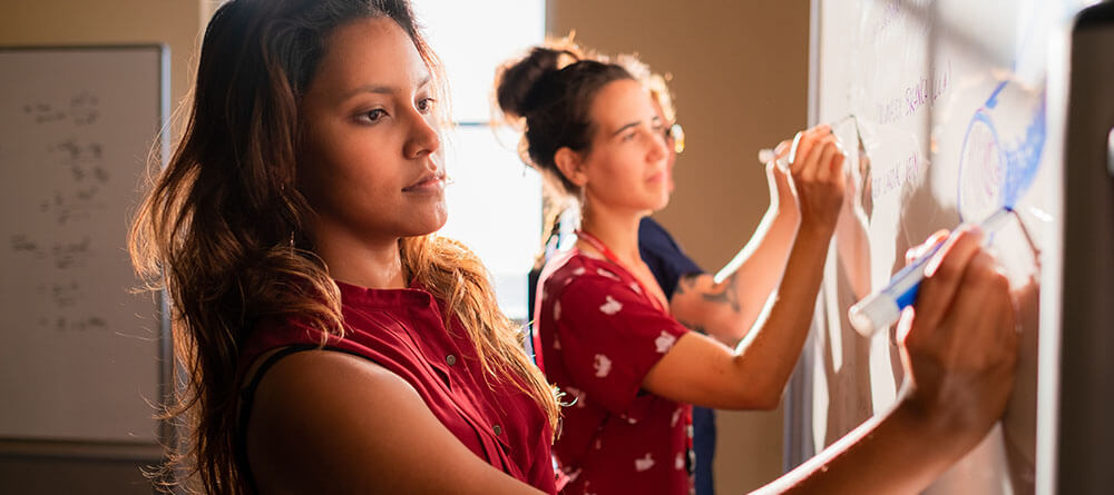 SGU medical students draw medical diagrams on a whiteboard