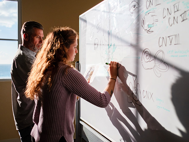 Teacher and student using whiteboard