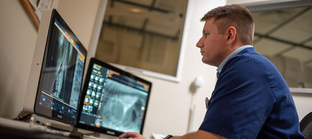 An SGU veterinarian reviews X-rays on a computer