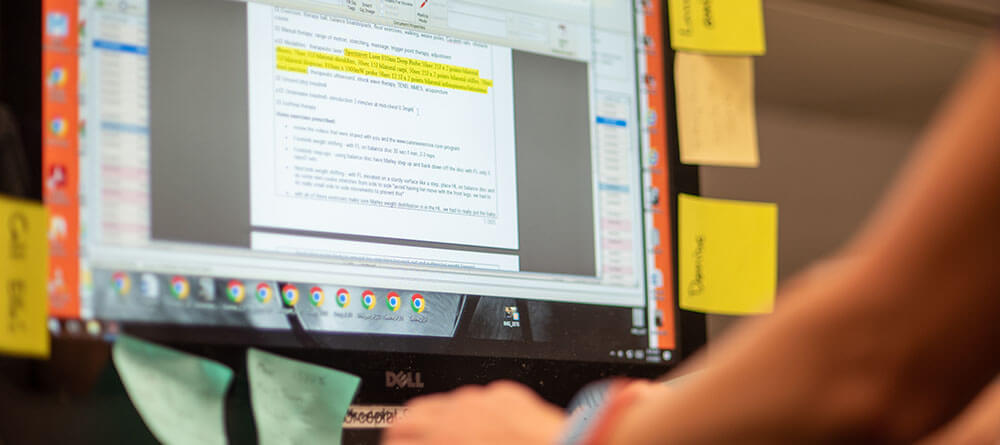 A veterinarian is entering patient information into a computer