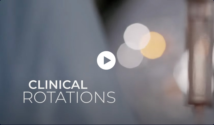 Clinical Rotations